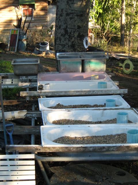 IMG_2654 (Small).jpg