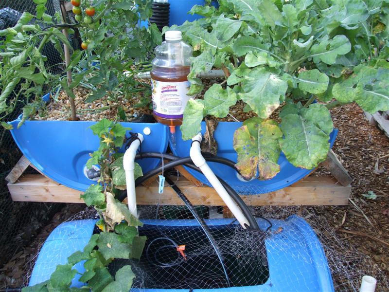 new doser (Medium).JPG