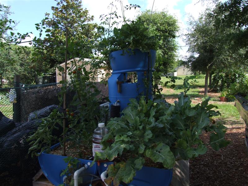 pp 061408 (Medium).JPG