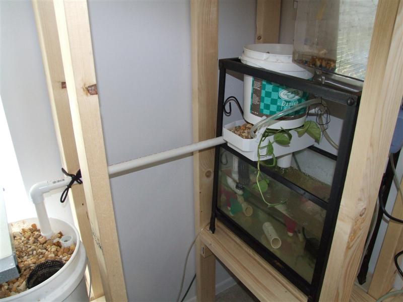 small AQ link (Medium).JPG