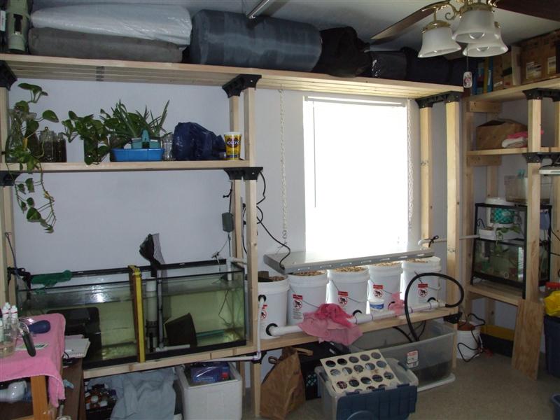 Aquarium system (Medium).JPG