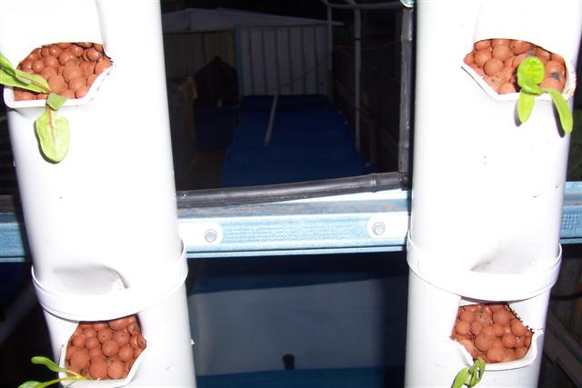 Home 022 (Small).jpg