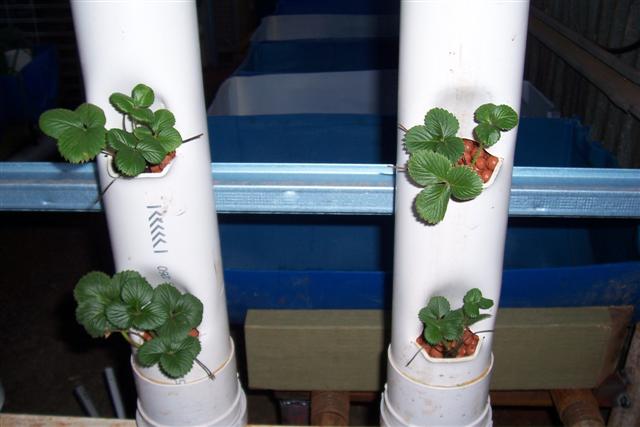 Home 021 (Small).jpg