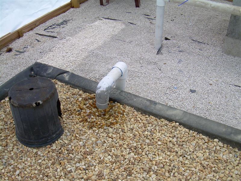 New GB pics003 (Medium).JPG