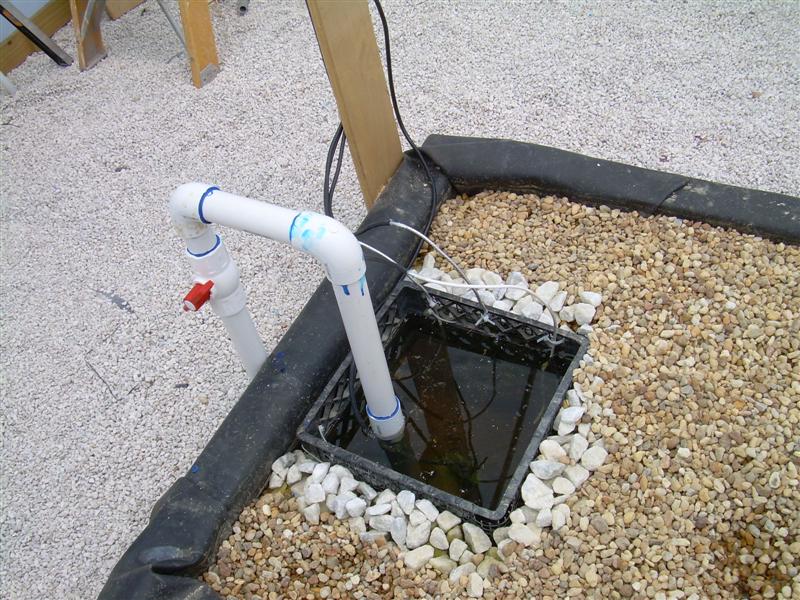 New GB pics001 (Medium).JPG