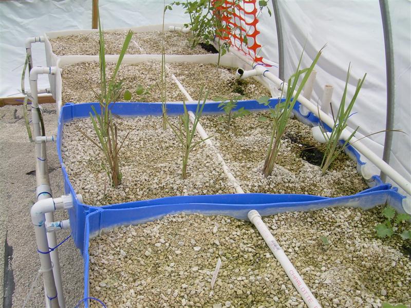 New GB pics005 (Medium).JPG