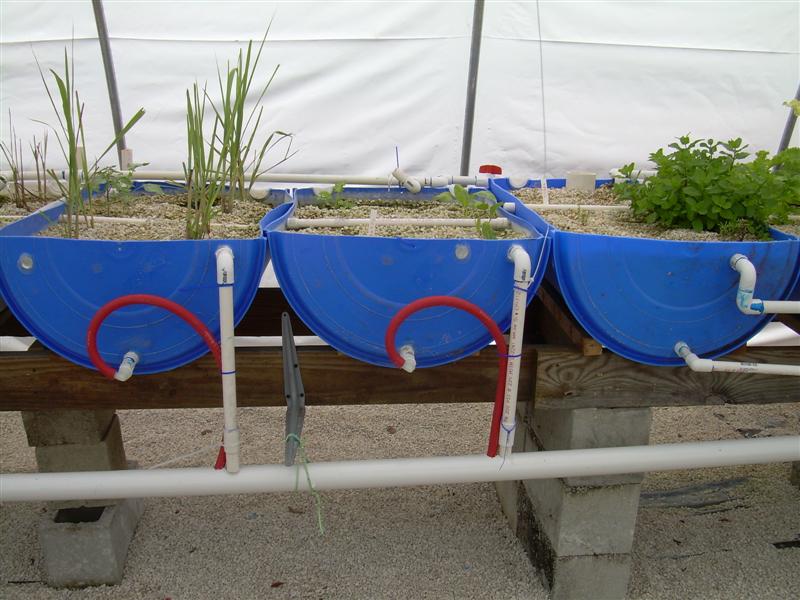 DSCN0860 (Medium).JPG