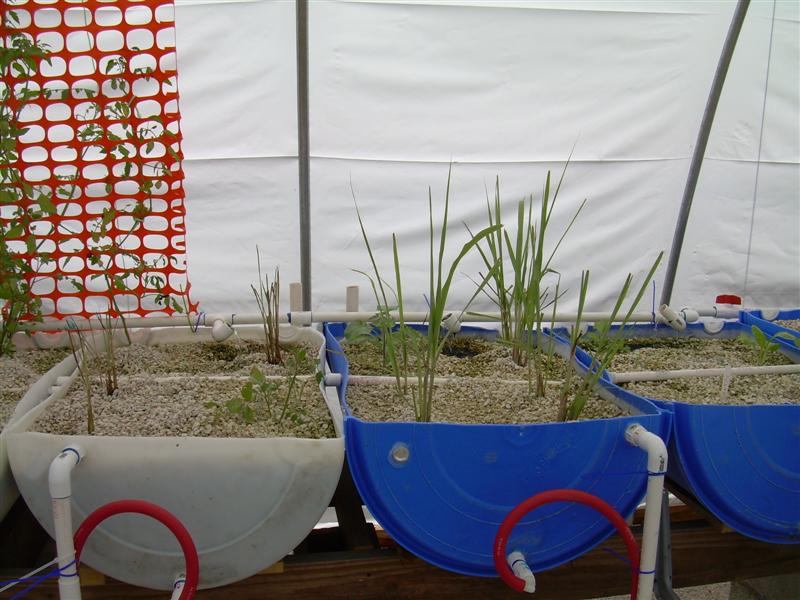 DSCN0861 (Medium).JPG