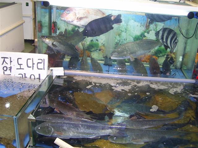 PIC_1330 (Small).JPG