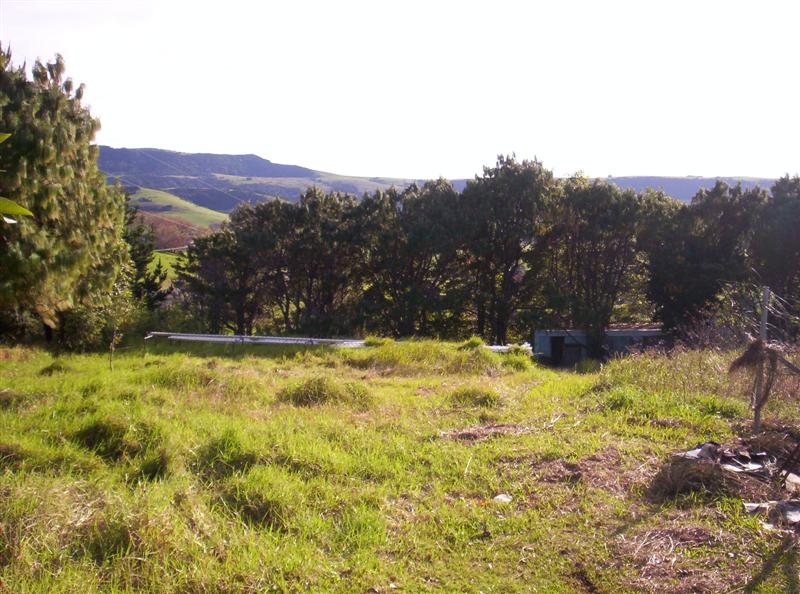 106_3750 (Medium).JPG