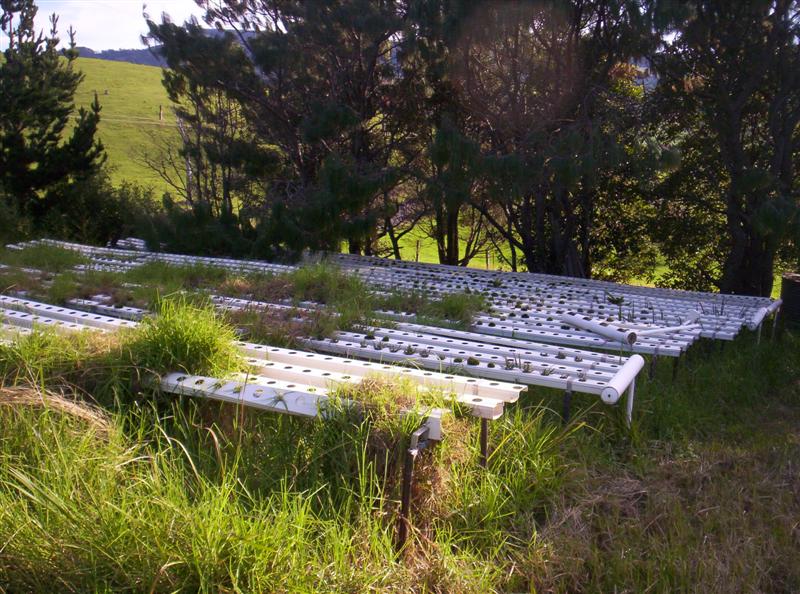 106_3752 (Medium).JPG