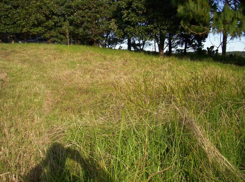 106_3756 (Medium).JPG