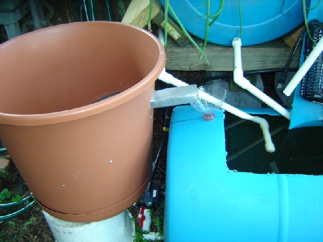 DSCbsf composterb.JPG