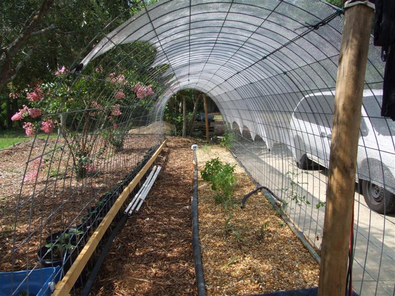 monster bed arch. (Medium).JPG