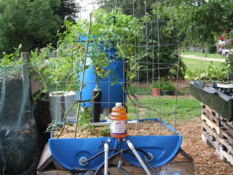 pp after clean up (Medium).JPG