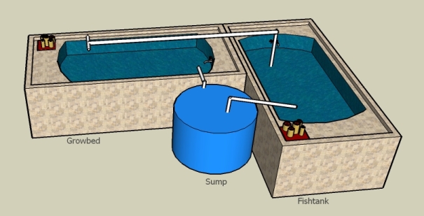 aquaponics2.jpg