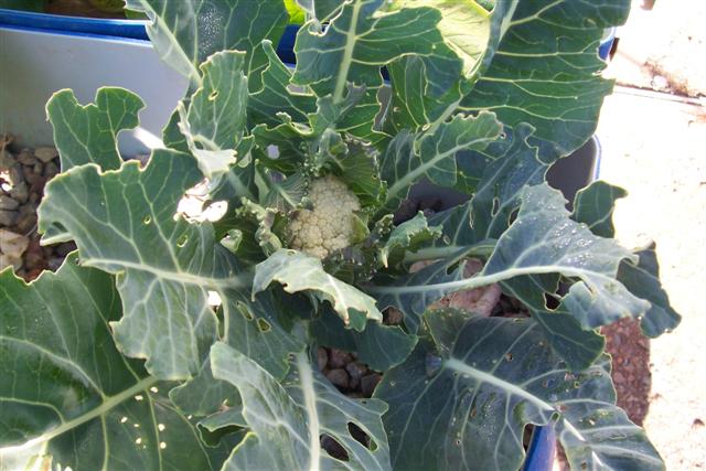 Home 036 (Small).jpg