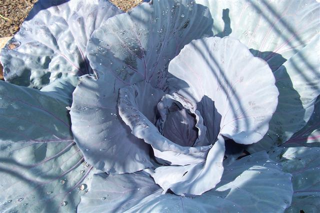 Home 038 (Small).jpg