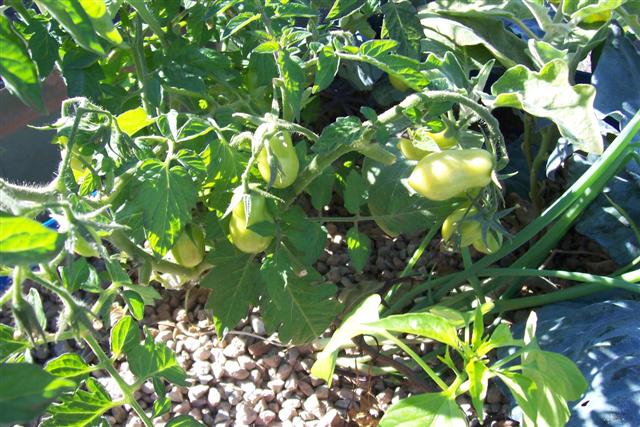 Home 037 (Small).jpg