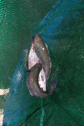 Home 035 (Small).jpg