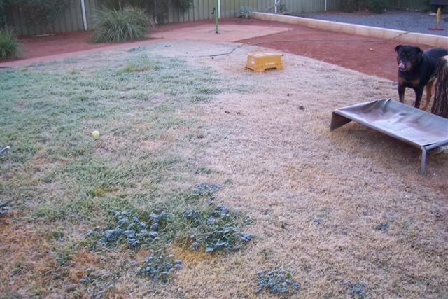 Home 040 (Small).jpg