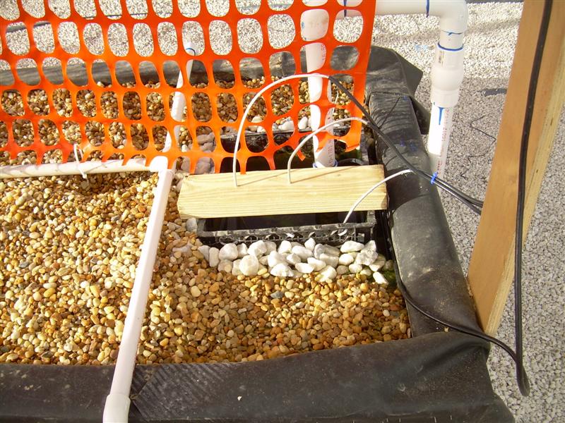 DSCN0871 (Medium).JPG