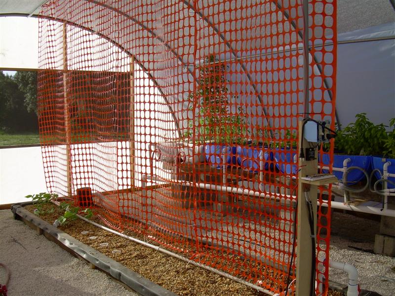 DSCN0869 (Medium).JPG