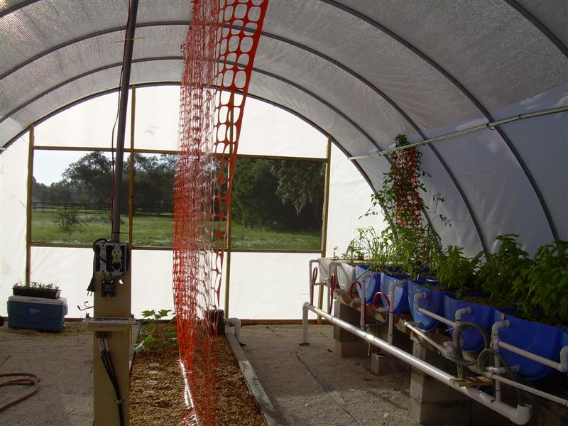 DSCN0870 (Medium).JPG