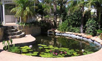 Pond 020 (web).jpg