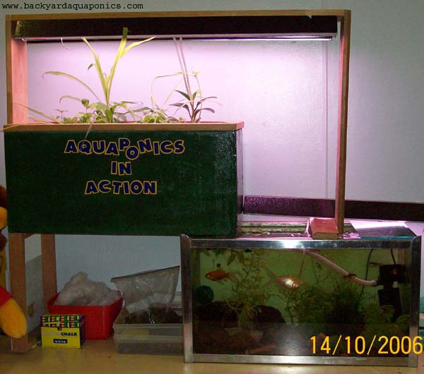 ap_in_action_360 copy.jpg