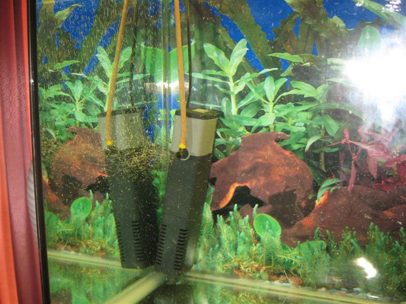 IMG_0019 (Medium).jpg