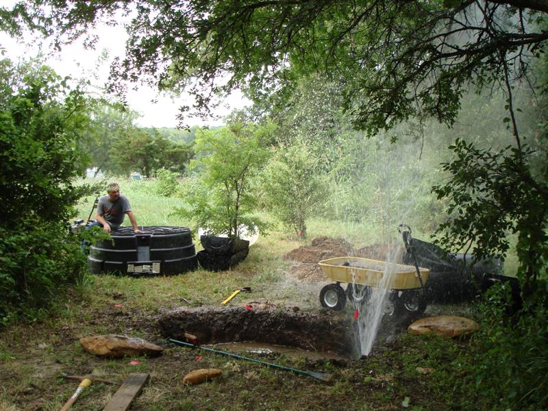 DSC01456 (Medium).JPG