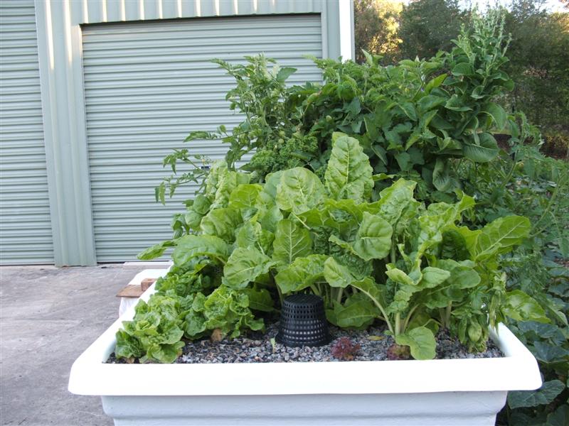 DSCF3129 (Medium).JPG