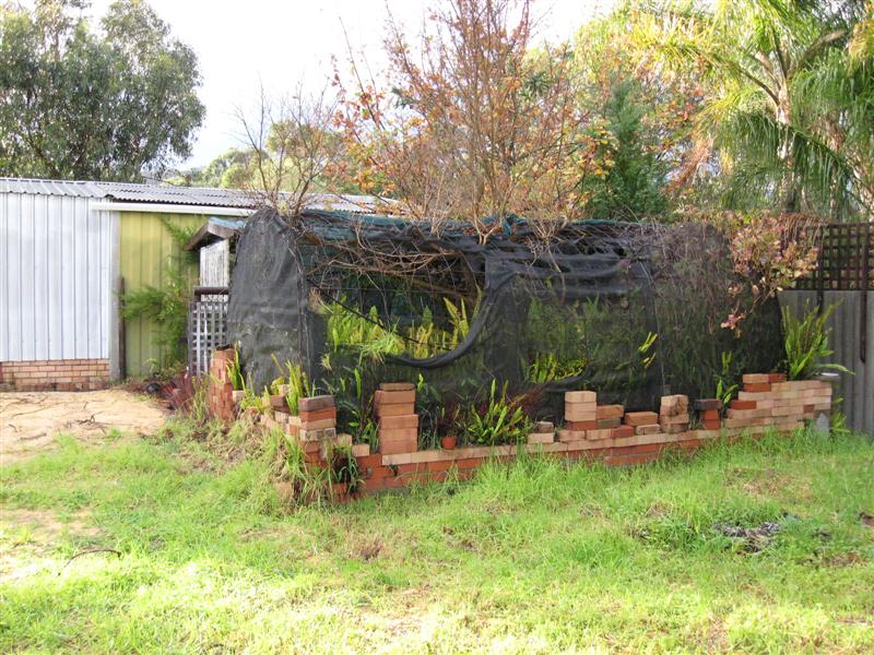 IMG_0020 (Medium).jpg