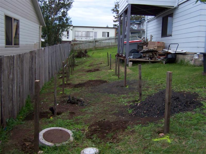 107_0156 (Medium).JPG