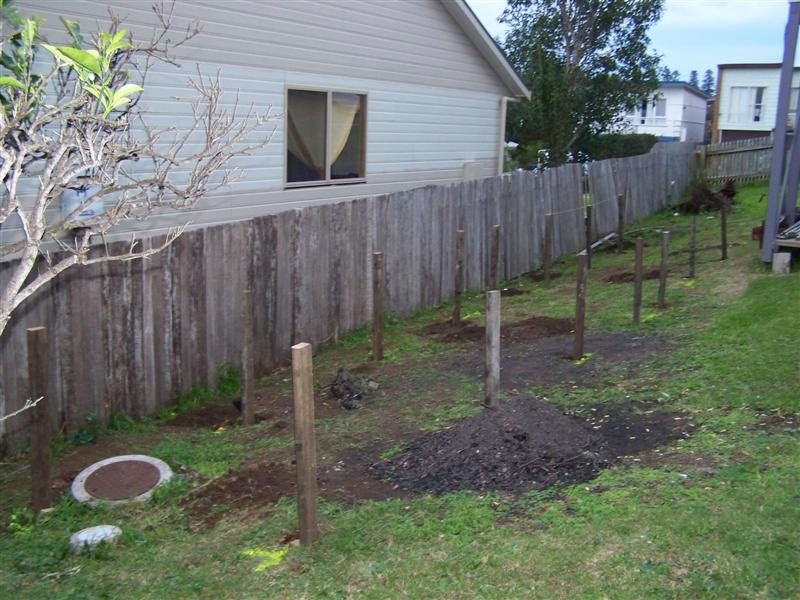 107_0157 (Medium).JPG