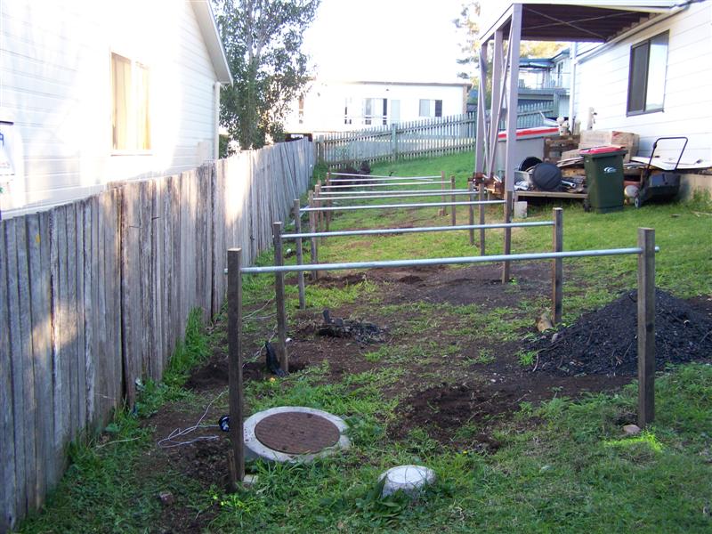 107_0419 (Medium).JPG