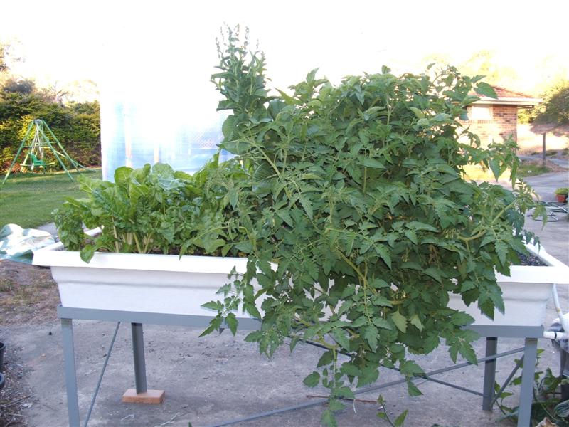 DSCF3126 (Medium).JPG