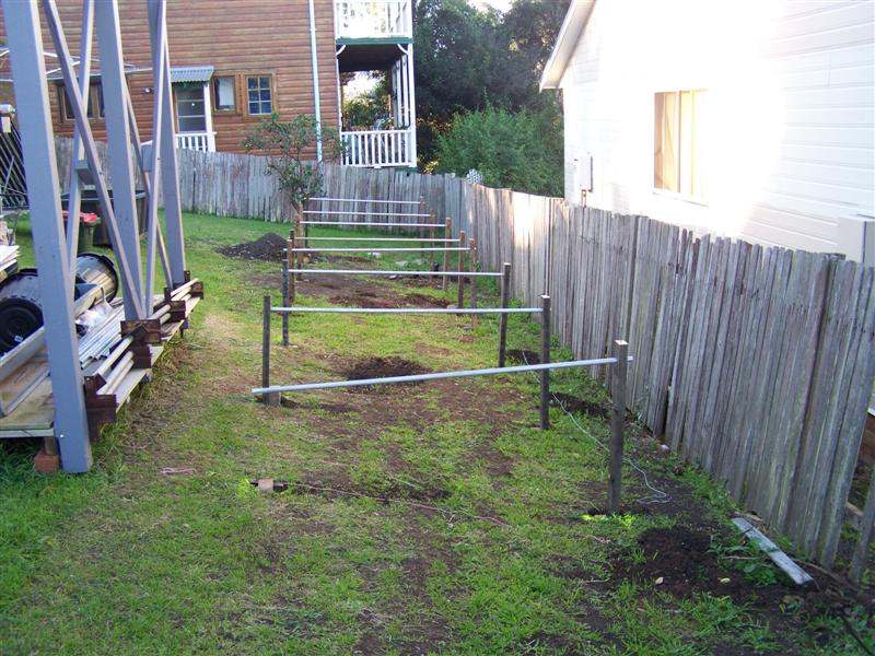 107_0420 (Medium).JPG