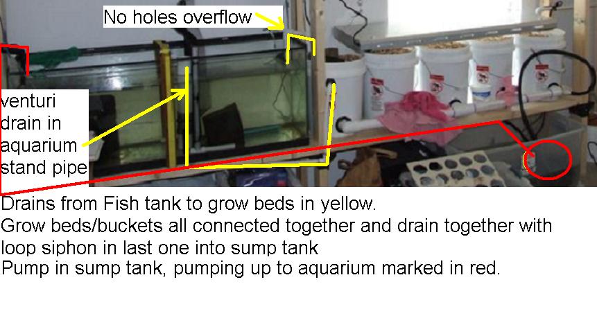 Aquarium system Diagram.JPG