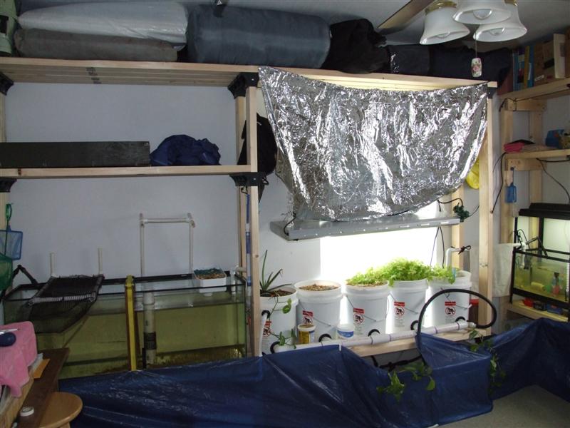 Breeding room (Medium).JPG