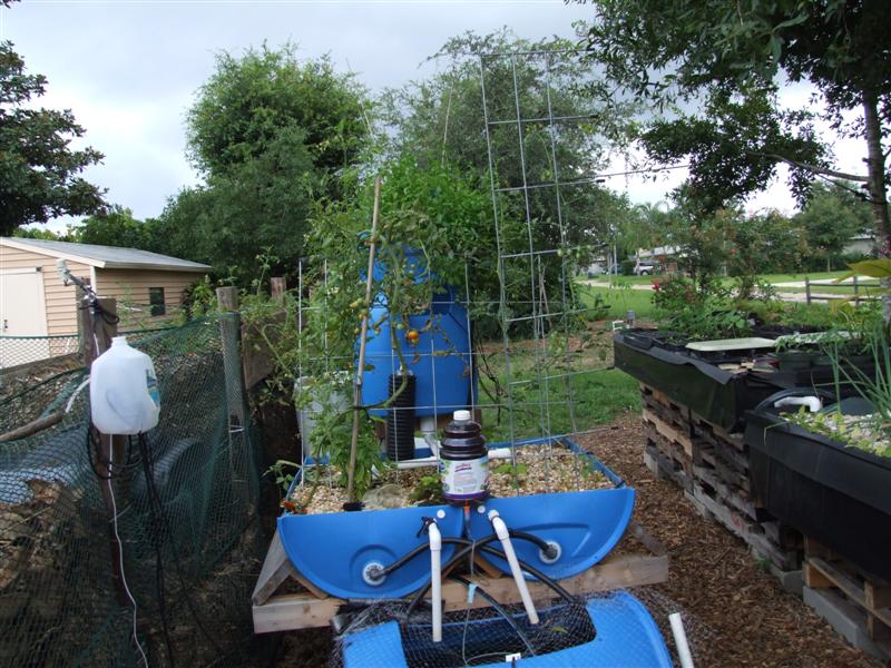 PP 07162008 (Medium).JPG