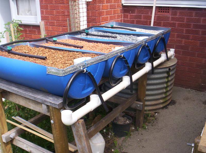 104_3102 (Medium).JPG