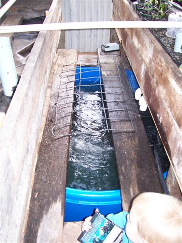 Papa & Shane 011.jpg