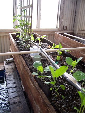 Papa & Shane 012.jpg