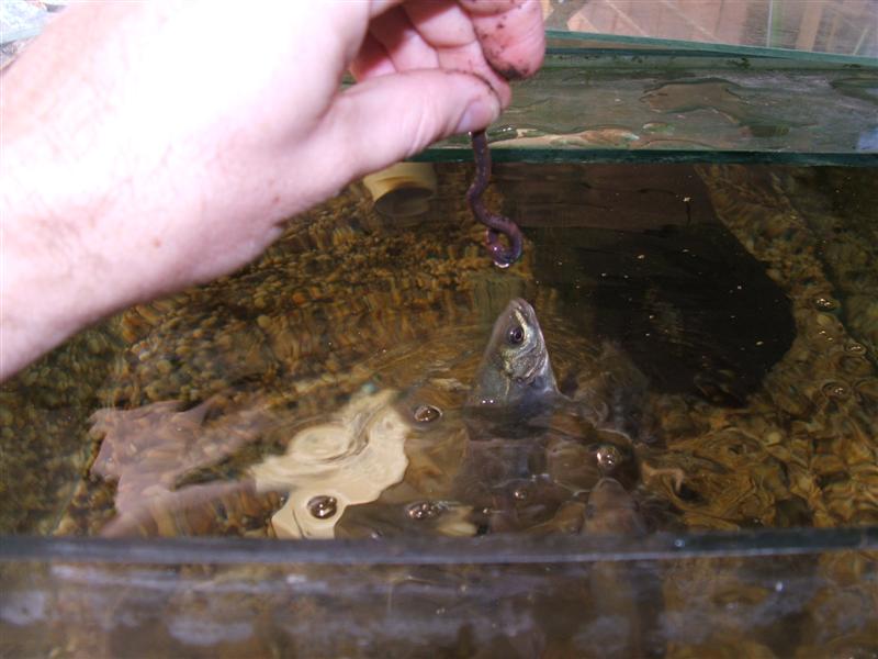 DSCF2543 (Medium).JPG