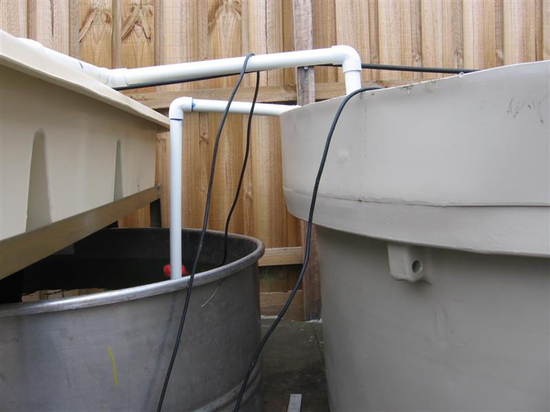 IMG_4955 (Medium).JPG