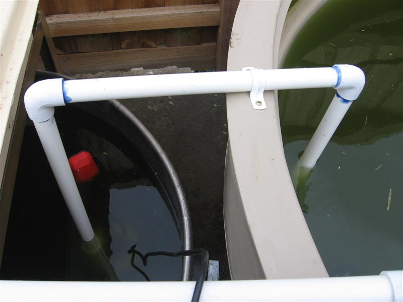 IMG_4954 (Medium).JPG