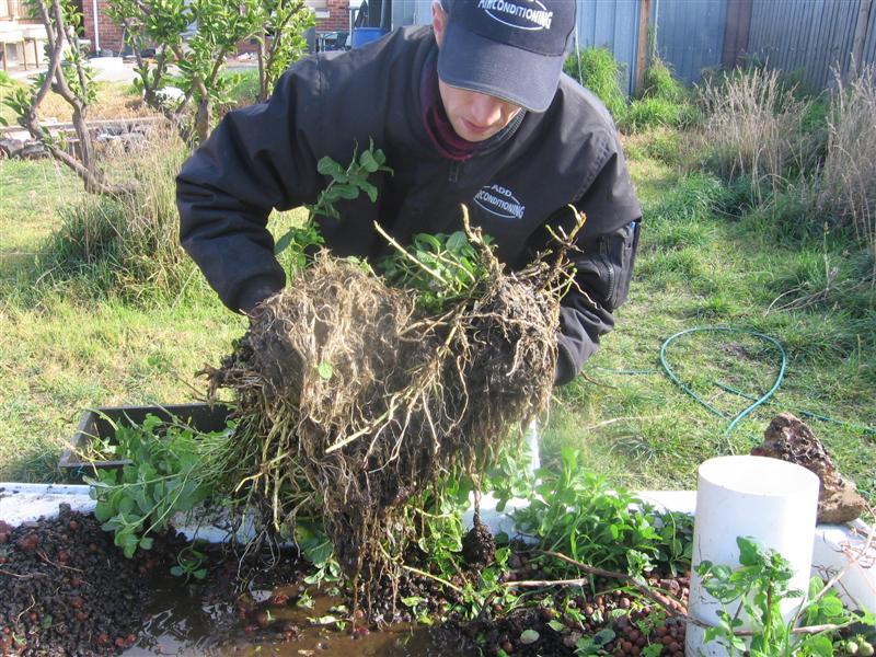 IMG_4936 (Medium).JPG