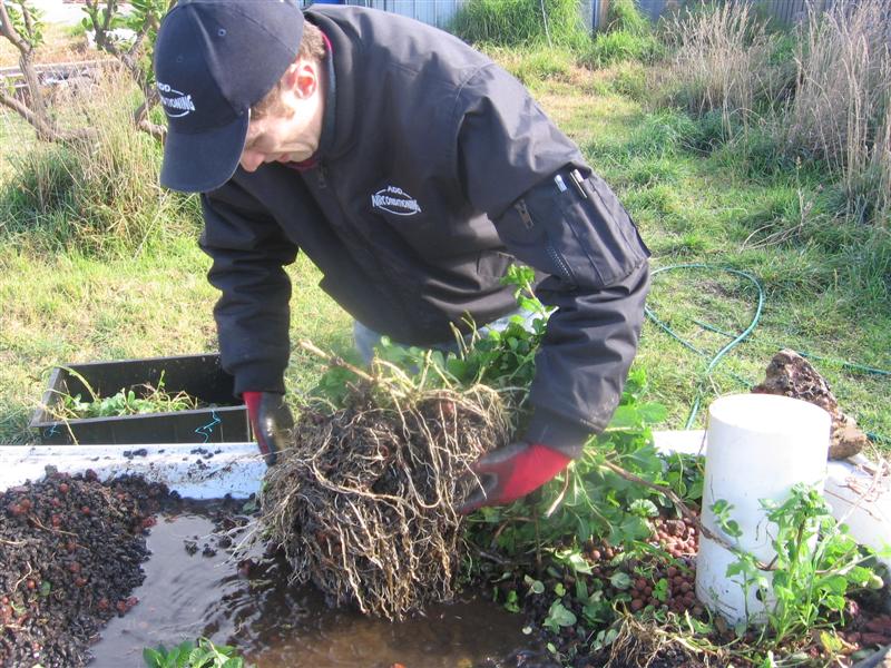 IMG_4935 (Medium).JPG